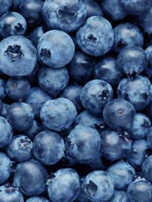 5lb Blueberries Wild Fresh / Frozen