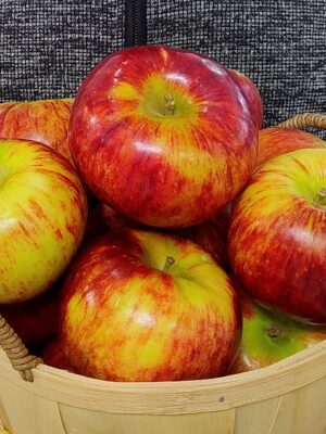 Apples Cortland x kg