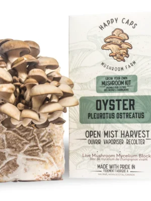 Mushroom Grow Kit Oyster – Happy Caps