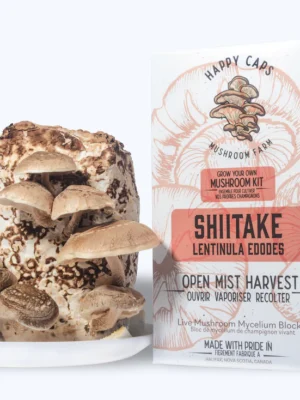 Mushroom Grow Kit Shiitake – Happy Caps