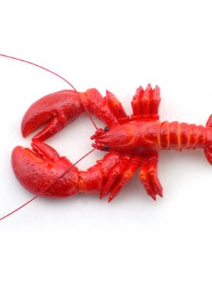 3.5″ Magnet – Lobster 6039MK