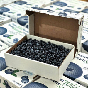 5lb Blueberries Wild Fresh / Frozen