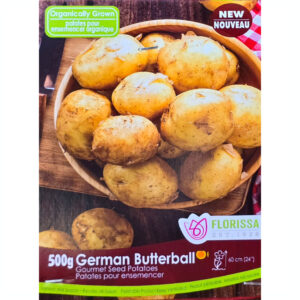 500g Seed Potatoes Gourmet ‘German Butterball’