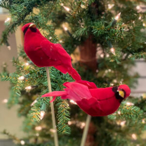 8″ Pick Cardinal PI16044