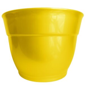 13″ Pot – Dixie Yellow TVI